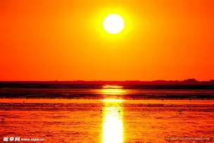 duomi太阳关键时刻失误不断，球队憾负对手，任何.的简单介绍